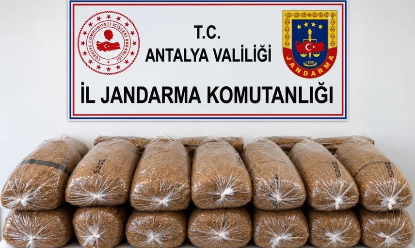 Alanya'da jandarmadan 144 kilo kaçak tütün operasyonu
