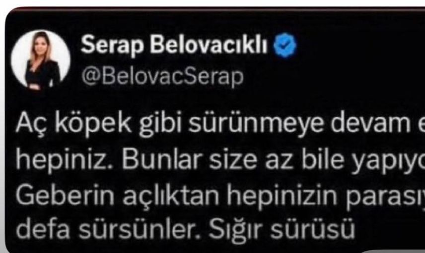 Sosyal medyadaki paylaşım sonrası Serap Belovacıklı hakkında soruşturma başlatıldı