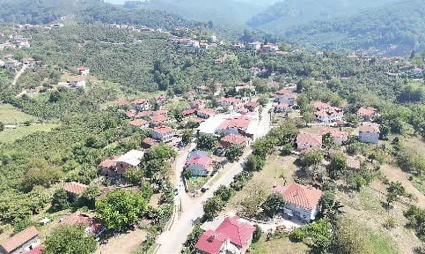 Köyün fındığından uluslararası raflara: Paralı köyü kooperatif modeli