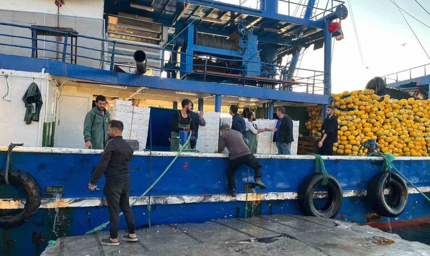 Didim'de hamsi kotası denetimleri sezon boyunca sürüyor
