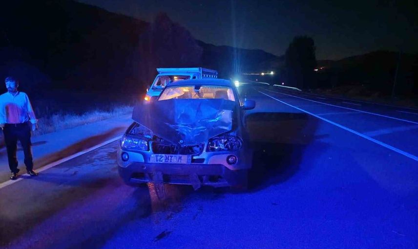 Bingöl'de yola çıkan ata çarpan otomobil: at telef oldu, 1 kişi yaralandı
