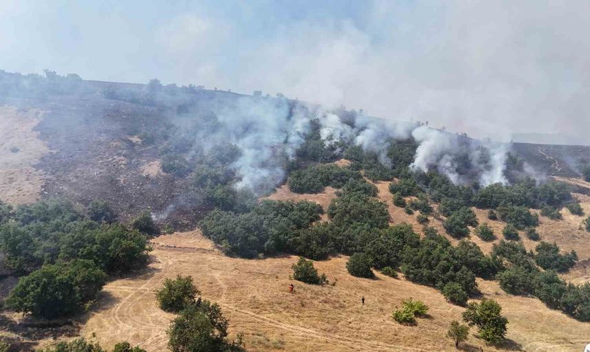 Tunceli'de Karyemez mezrası çevresinde orman yangınına havadan ve karadan müdahale