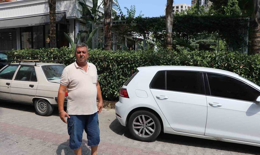 Sokakta ağızlıksız gezdirilen pitbull mahalle kedisini telef etti