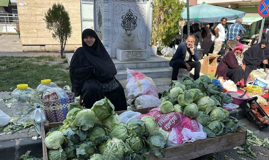 Alucra kelemi hasadı başladı, coğrafi işaret için çalışmalar sürüyor