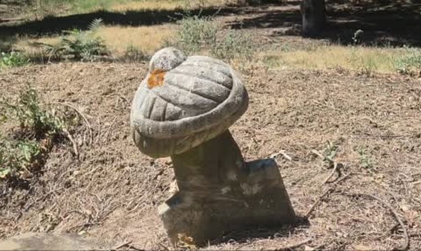 Tekirdağ’da asri mezarlığın tarihini taşıyan 90 mezar kayıt altına alındı