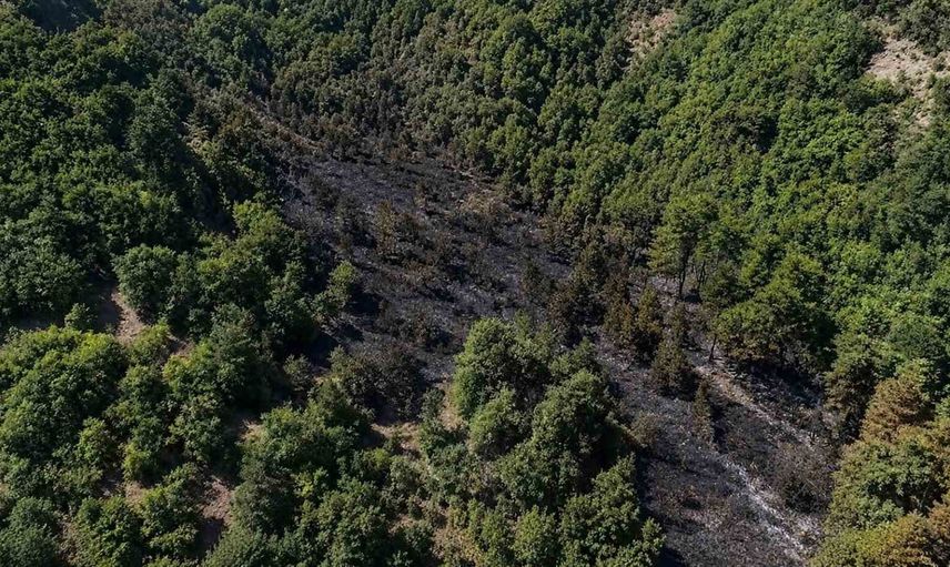Sinop'ta Derecuma mevkisinde orman yangını ekiplerin müdahalesiyle kontrol altında