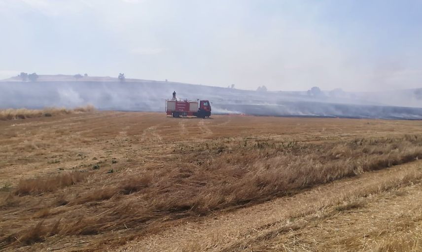 Saraykent'te anız ateşi doğayı etkiledi: 150 dönüm otluk alan zarar gördü