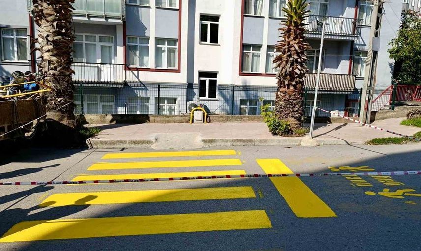 Sinop'ta yaya güvenliği için okul ve merkezde geçit yenileme seferberliği