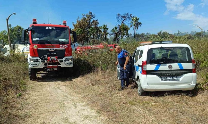 Manavgat kıyısında sazlık alev aldı: itfaiye kaplumbağaları kurtardı