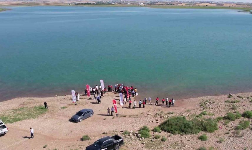 İç su kaynaklarına takviye: Çamgazi Baraj Göleti'ne 680 bin yavru sazan bırakıldı