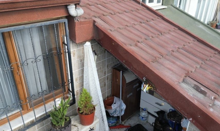 çatı arasındaki arıların baskını ailenin gündemini değiştirdi