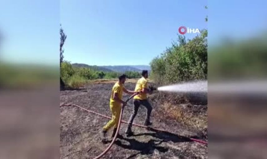 Bolu Mudurnu'da Otluk Yangını Buğday Tarlasına Sıçradı — 250 m² Zarar