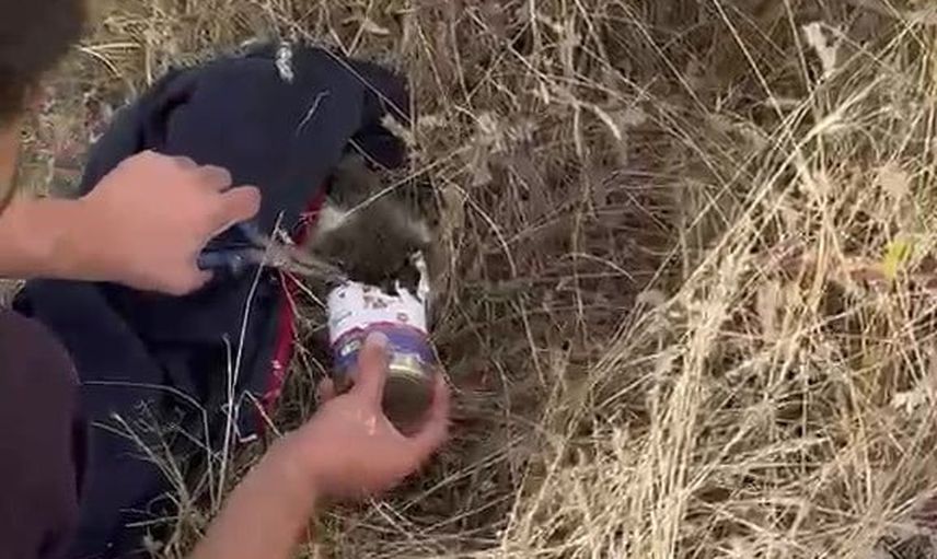 İtfaiyenin dikkatiyle konserve kutusundan kurtarılan kedi