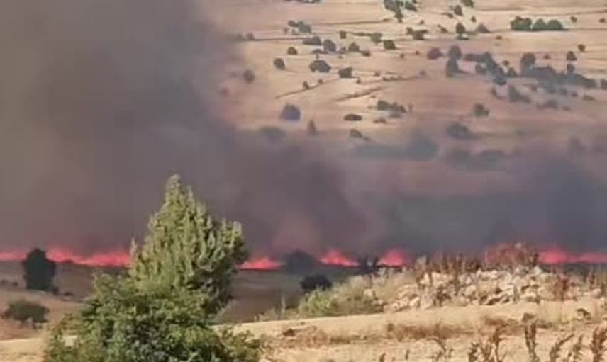 Cevizli'de tarım arazilerinde yangın: rüzgâr alevleri çevreye taşıdı