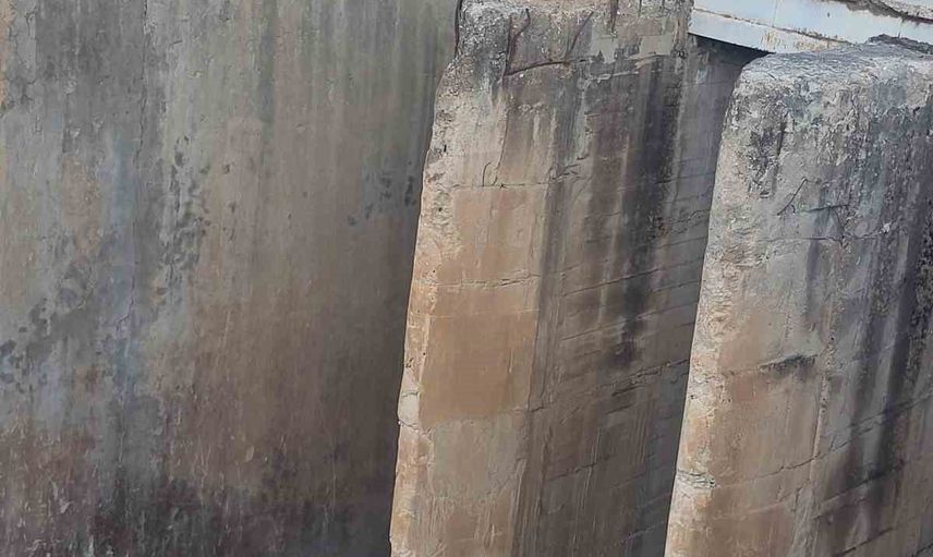 İple inişle kurtarılan koruma altındaki dağ keçisi yeniden doğaya bırakıldı