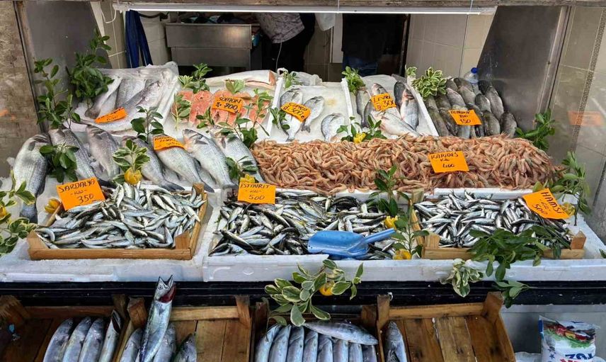 Palamut bolluğu Karadeniz tezgahlarına renk kattı