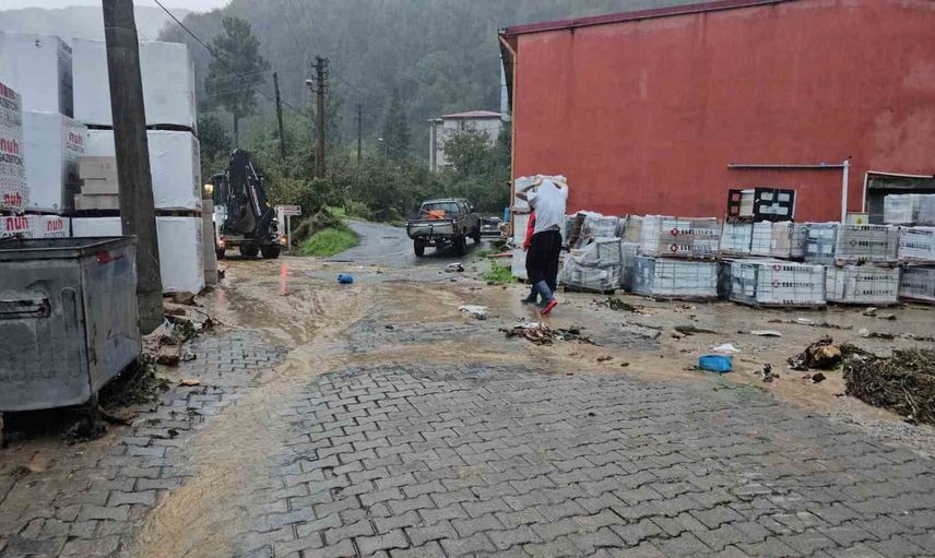 Zonguldak'ta derenin taşması küçük sanayi sitesinde su baskınına neden oldu