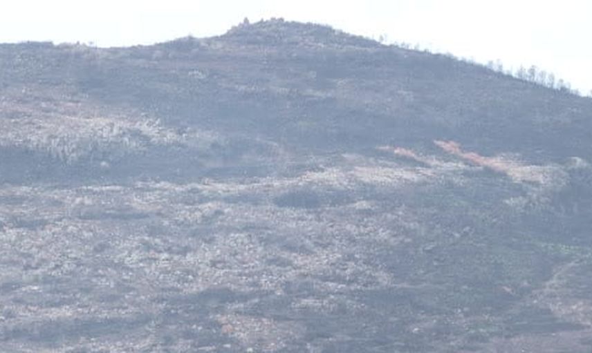Yangın mağduru üreticilere kış öncesi 30 ton yem desteği