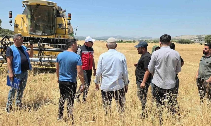 Dicle'de atıl tarlalar mercimekle tekrar üretime kazandırılacak