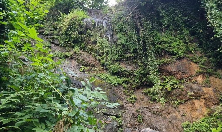 Bakımlı köyünde fındık taşıyan şahsın düşüşü hayatını aldı