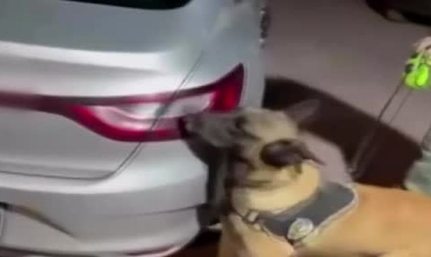 Bilecik'te valizden çıkan paket: 8,5 kilo skunk ve iki tutuklama