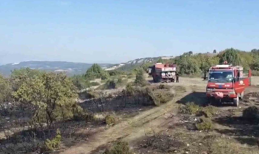 Bilecik'te bahçe temizliği yangını 2 hektarı etkiledi, söndürme çalışmaları sürüyor
