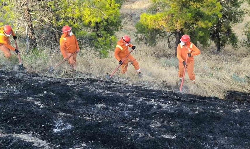 Pamukkale'de orman yangını hızla söndürüldü, yerleşimler korundu