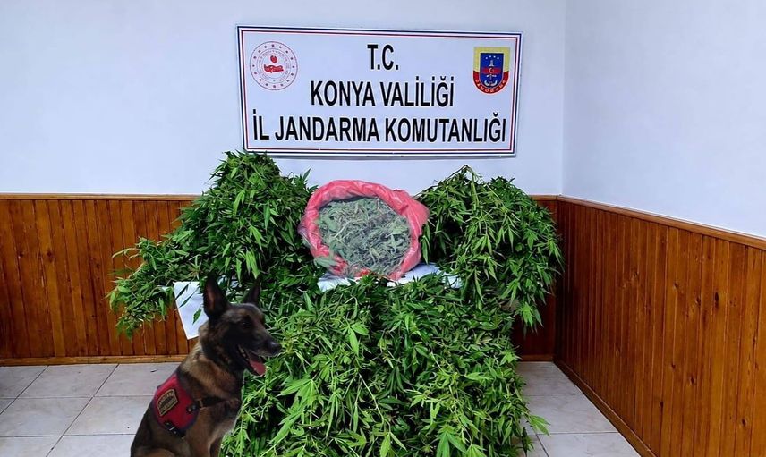 şafak operasyonunda depo gibi alandan kenevir ve tabanca çıktı