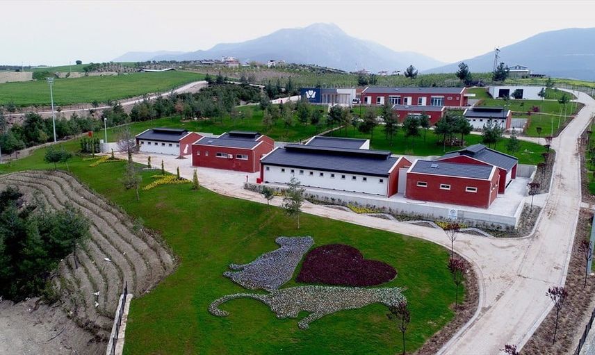 Denizli barınağına yönelik iddialar yargıya taşındı, denetim sonucu açıklandı