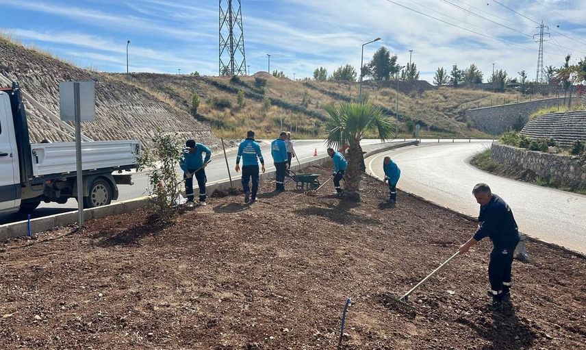 Adıyaman'da yeşile hazırlık: kış için bakım ve budama seferberliği