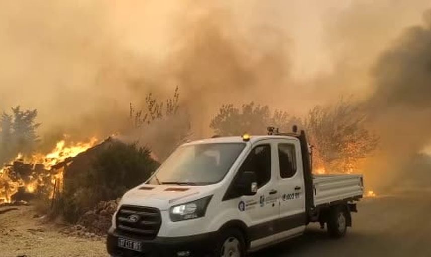 Köy halkı alevlerin ortasından koyunlarını kurtardı