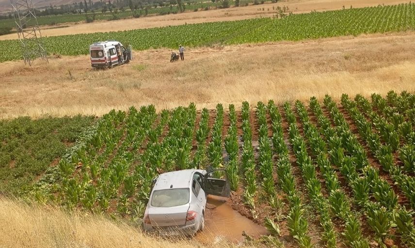 Malatya'da yol kenarındaki çukura düşen otomobil tütün tarlasına savruldu