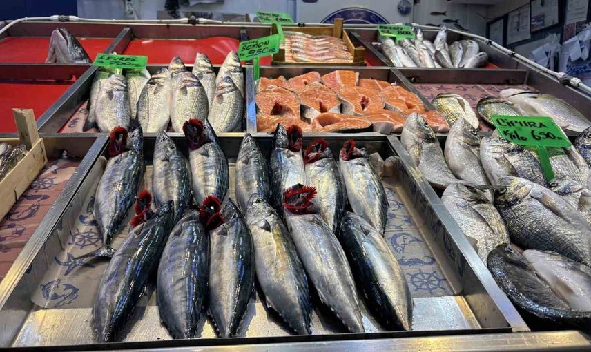 Palamut sezonu Çanakkale'de tezgahları canlandırdı