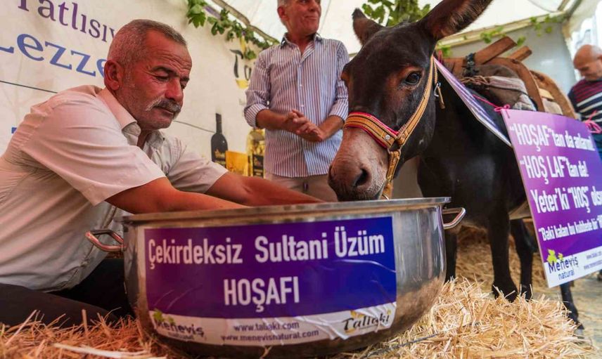Hoşafın savunucusu: Saruhanlı'da eşek ve üzüm kültürüne ironik çağrı