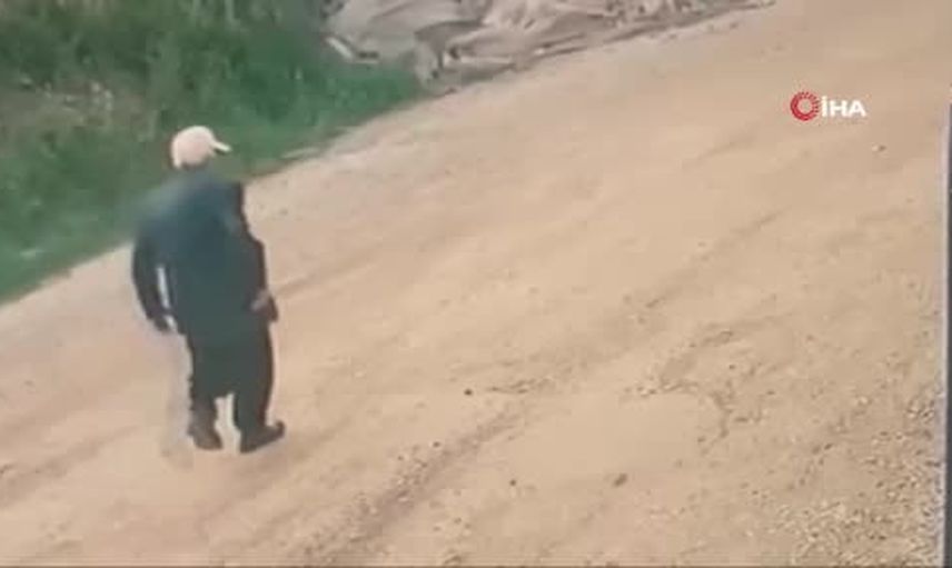 Gazipaşa'da ormanlık alanda kafatası keşfedildi: 15 aydır kayıp Hüseyin Karadeniz'e ait kimlik ve kıyafetler bulundu