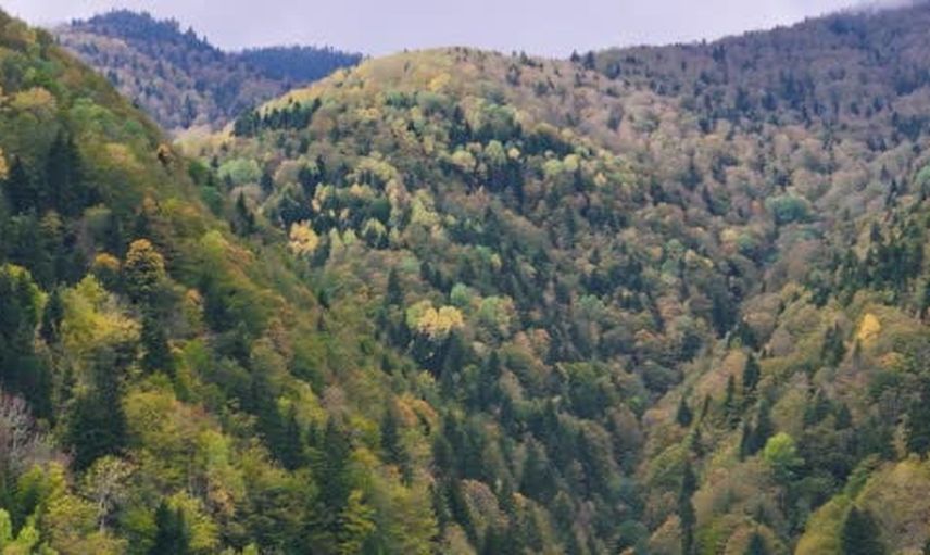 Sonbaharın paleti: Gümüşhane doğasının ve tarihinin buluşması