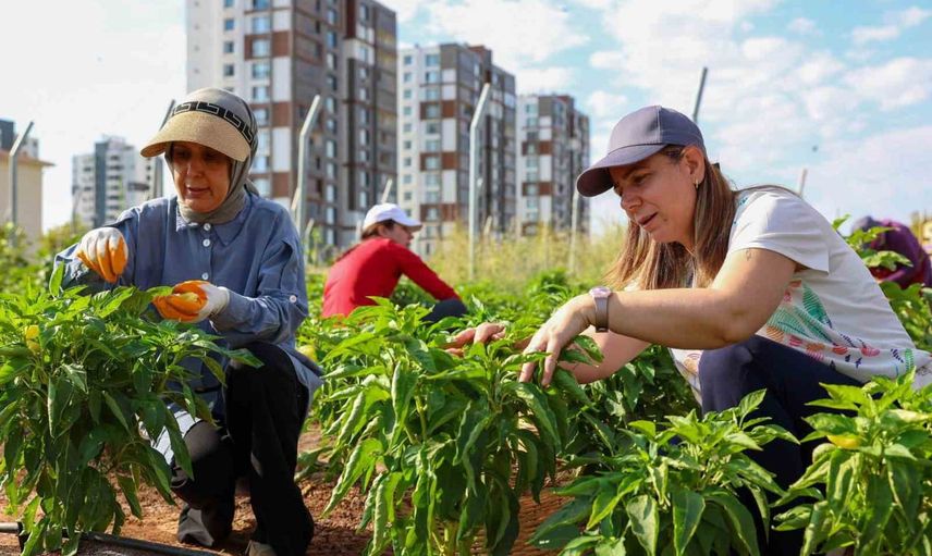 Kadın komün kent bostanlarıyla yerel tohum ve dayanışma güçleniyor