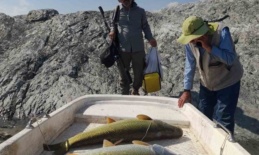 Keban'da oltayla yakalanan dev turnalar gölün zenginliğini gösterdi