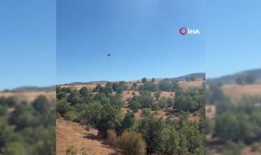 Bali köyündeki orman yangını ekiplerin müdahalesiyle kısa sürede kontrol altına alındı
