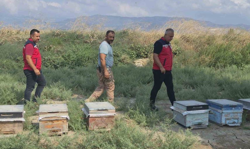 Arı kovanlarıyla sahada: Antakya'da bal sağımı sürüyor