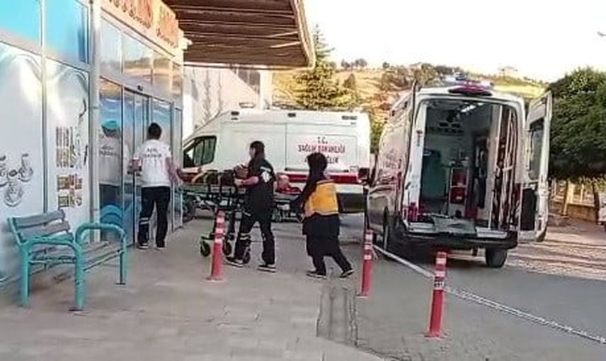 Çağlayancerit'te ceviz ağacından düşen kişi ağır yaralandı
