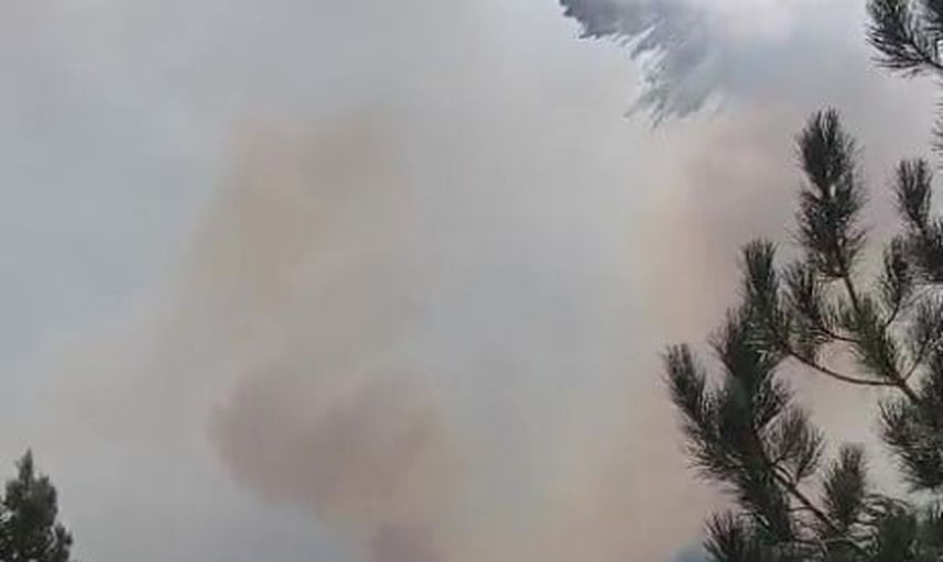 Manavgat'ta orman yangının enerjisi düşürüldü