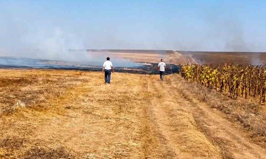 Muratlı'da anız yangını ayçiçeği tarlasına sıçramadan kontrol altına alındı