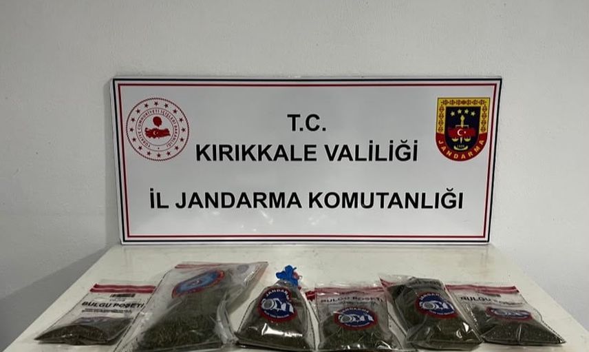 Bahçedeki koku izini süren 'Evin' 14 kenevir ve 1 kilo 240 gram esrar buldu