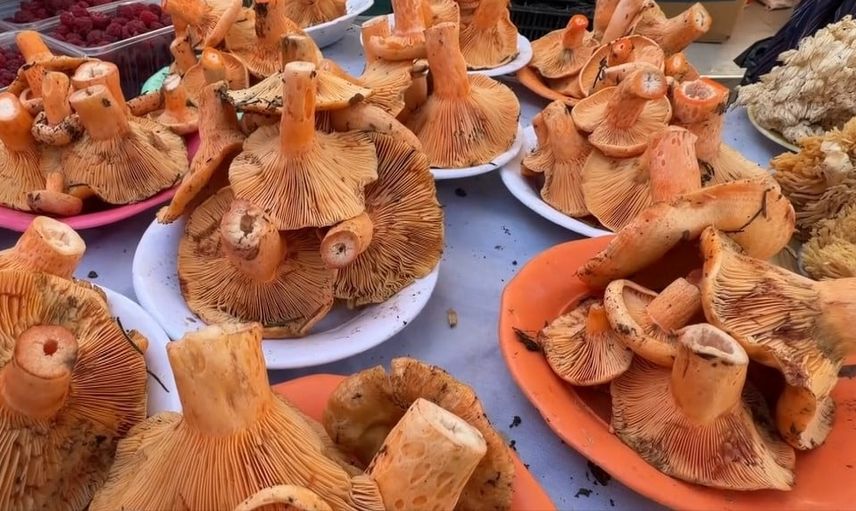 Uzmanlar uyarıyor: 6 saat sonra ortaya çıkan mantar belirtileri daha tehlikeli