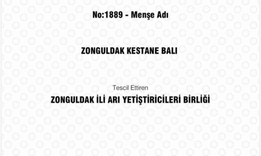 Zonguldak kestane balı resmen coğrafi işaret korumasına girdi