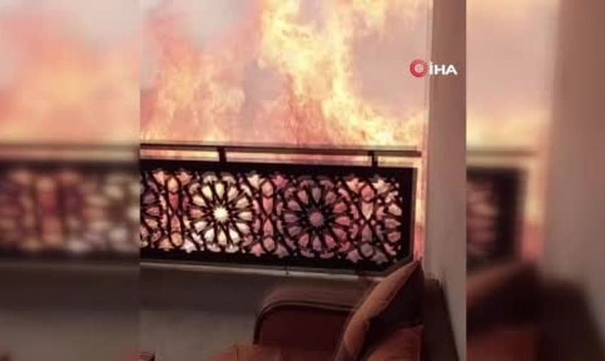 Aşırı sıcaklar Cezayir'i sarstı: bir günde 154 yangın, 12 ölü