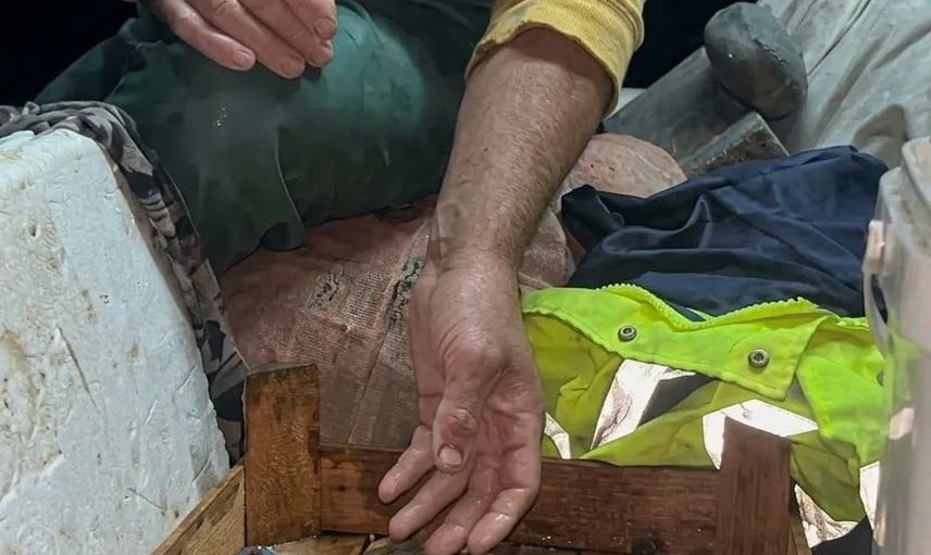 Sinop'ta palamut ağını şaşırtan mavi misafir