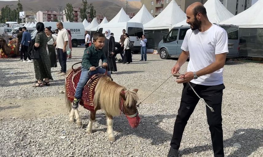 Yöresel etkinlikte Hatay'dan gelen develer ve midilliler ilgi odağı oldu