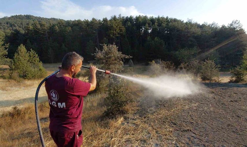 Mudurnu'da köylülerin su tankerleri ormanı kurtardı